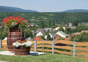 Panoráma